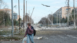 Cremlino, combatteremo anche per lo 0,01 del Donetsk