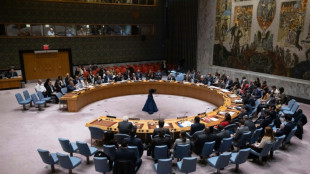 Conselho de Seguran&ccedil;a da ONU exige ajuda humanit&aacute;ria em Gaza em 'larga escala'