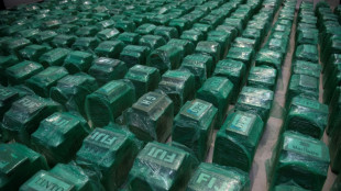 Decomisan en Espa&ntilde;a 1.000 kilos de coca&iacute;na de una organizaci&oacute;n que operaba a trav&eacute;s del puerto de Valencia