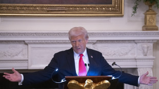 Trump, Groenlandia molto importante per la pace nel mondo