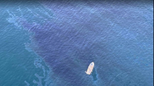 Mar&eacute;e noire en Californie pr&egrave;s de Los Angeles