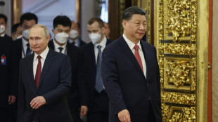 Xi y Putin se re&uacute;nen en el Kremlin para hablar de Ucrania