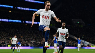 Angleterre: Tottenham s'accroche &agrave; l'Europe en coulant Everton