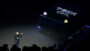 Chinese EV battery giant CATL aims to raise $4 bn in Hong Kong IPO