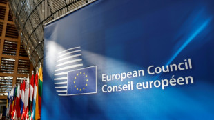 EU-Chefs sprechen sich f&uuml;r St&auml;rkung der Verteidigung aus - Kritik aus dem Kreml