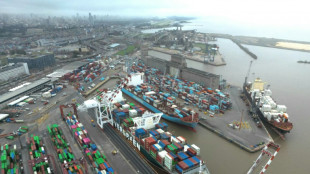 Protesto de pr&aacute;ticos deixa mais de 150 navios parados em portos argentinos