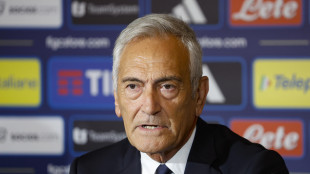 Calcio: Gravina 'c'&egrave; febbre mondiale, ipotesi stage a febbraio'