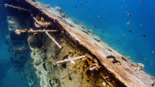 Protecting undersea cultural heritage in spotlight at mining code talks