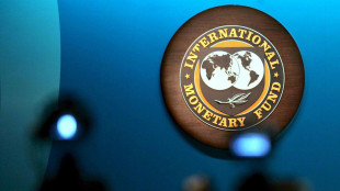 Corsa a scambi pre-dazi, Fmi alza le stime sul Pil globale