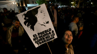 La expresidenta Kirchner se presentar&aacute; el mi&eacute;rcoles para su detenci&oacute;n en Argentina