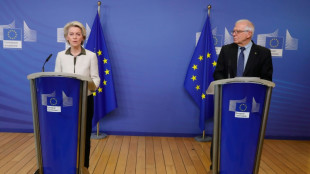 Los l&iacute;deres europeos impulsan la creaci&oacute;n de un fondo fiduciario para Ucrania