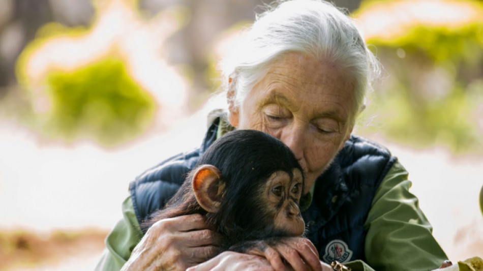 Jane Goodall: crusader for chimpanzees and the planet