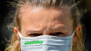 Russland stuft Greenpeace als "unerw&uuml;nschte" Organisation ein