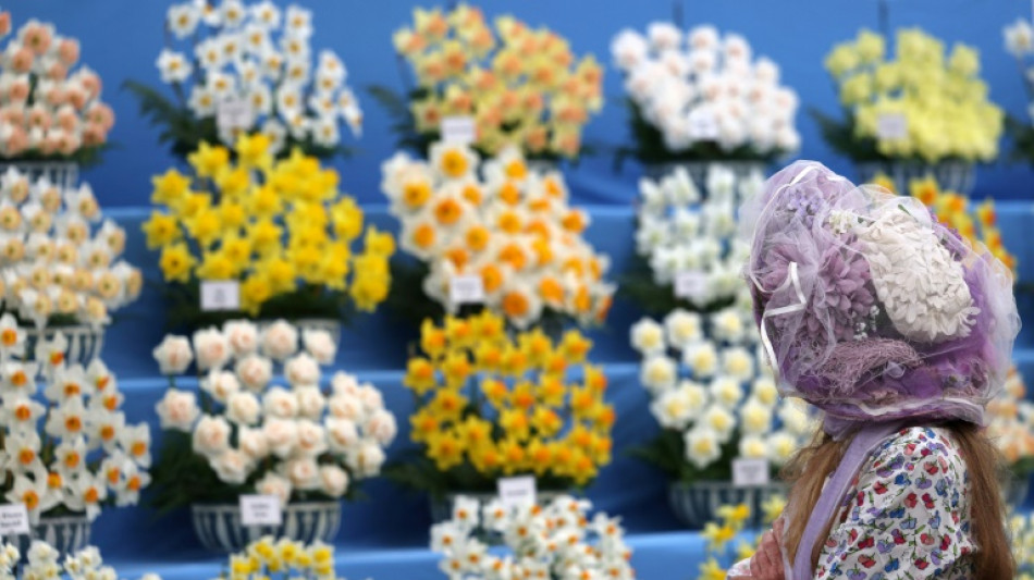 Patate douce, pois chiches et IA au c&eacute;l&egrave;bre Chelsea Flower Show de Londres