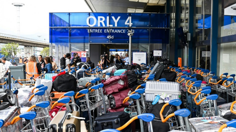 Paris airport pandemonium as bag handler breaks