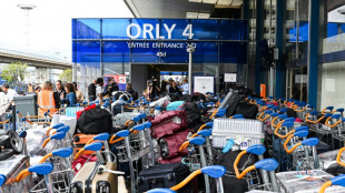 Paris airport pandemonium as bag handler breaks