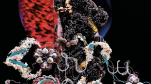 Bj&ouml;rk annuncia Cornucopia, al cinema dal 7 maggio in 25 Paesi