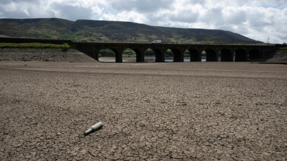 Over half of Europe and Mediterranean basin hit by drought in mid-May