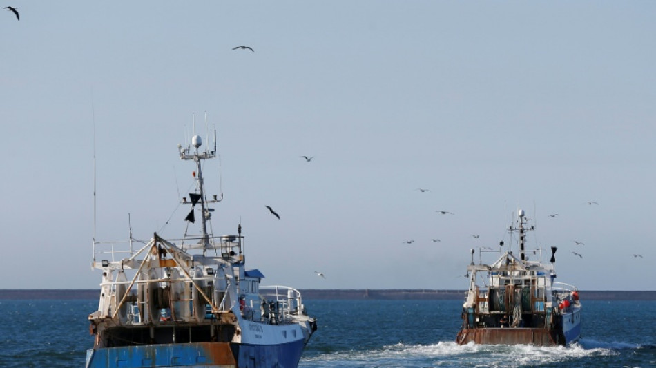 Pêche, cannabis et cocaïne: dans les ports français, le poison de la drogue