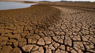 El mundo vive nueve meses consecutivos de r&eacute;cords de temperatura