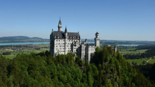 21-J&auml;hrige nach Angriff von Mann nahe Schloss Neuschwanstein gestorben