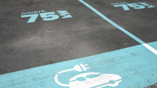 Voitures &eacute;lectriques: un nouveau bonus pour soutenir les ventes et la fili&egrave;re des batteries europ&eacute;ennes