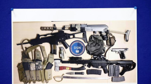 &Ouml;sterreichische Beh&ouml;rden vereiteln offenbar Anschlag auf  Wiener Pride-Parade