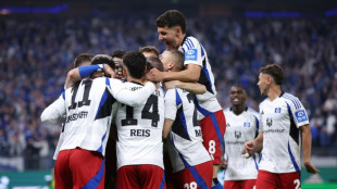 Hamburgo retorna &agrave; 1&ordf; divis&atilde;o do Campeonato Alem&atilde;o ap&oacute;s 7 anos