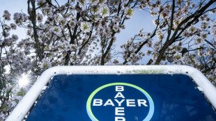 Bayer no descarta abandonar el glifosato a ra&iacute;z de las m&uacute;ltiples demandas