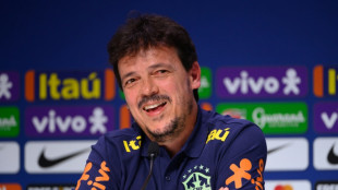 Diniz quer 'reproduzir' seu estilo de jogo na Sele&ccedil;&atilde;o