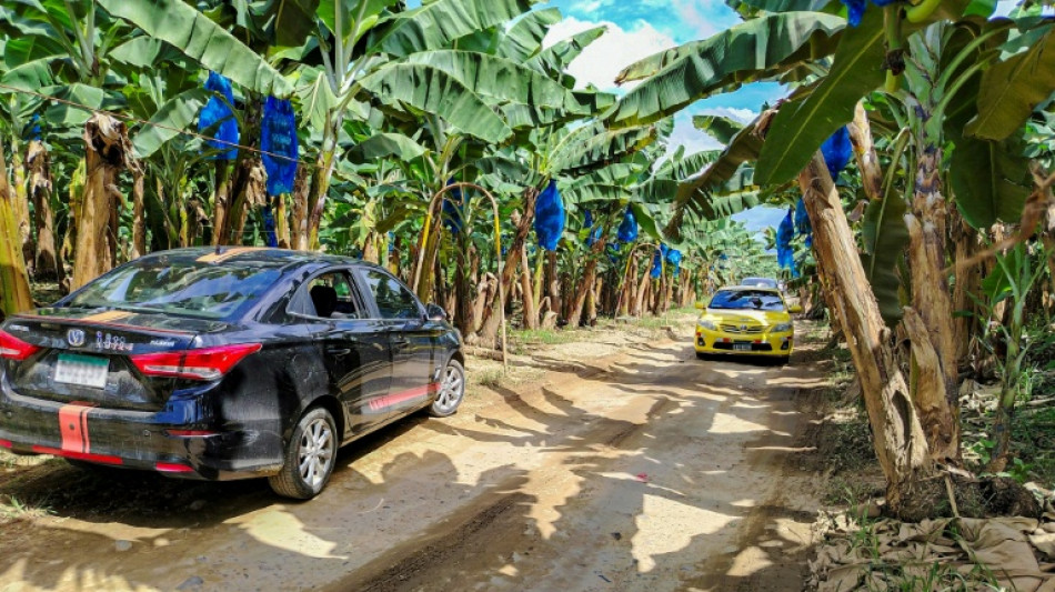 Mulino promete hacer lo posible para que bananera de EEUU regrese a Panamá