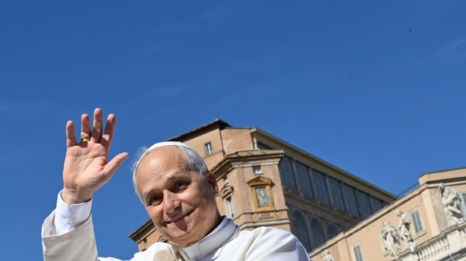 El papa une fuerzas con Schwarzenegger para "terminar" con el cambio climático