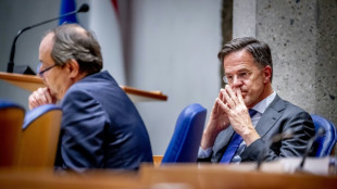 Medien: Niederl&auml;ndische Regierung zerbricht an Streit &uuml;ber Asylpolitik