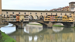 Un anarquista italiano pr&oacute;fugo, arrestado en Espa&ntilde;a
