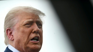 Pauschales US-Einsreiseverbot f&uuml;r B&uuml;rger aus zw&ouml;lf Staaten in Kraft getreten