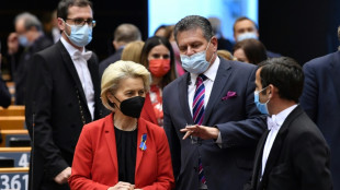 La Comisi&oacute;n Europea propone un plan para compras colectivas de gas