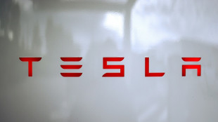 Su&egrave;de: apr&egrave;s deux ans de gr&egrave;ve chez Tesla, un syndicat n'entend pas abdiquer 