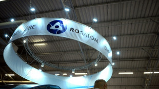 Un consorcio finland&eacute;s anula un contrato con el ruso Rosatom para construir una central nuclear