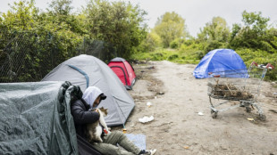 Zwei Tote und sieben Verletzte bei Sch&uuml;ssen in Fl&uuml;chtlingslager in Nordfrankreich
