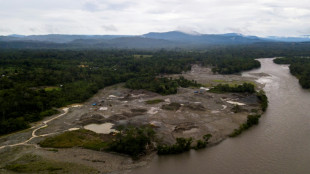 Tribunais e floresta, as duas frentes de batalha contra a minera&ccedil;&atilde;o na Amaz&ocirc;nia equatoriana