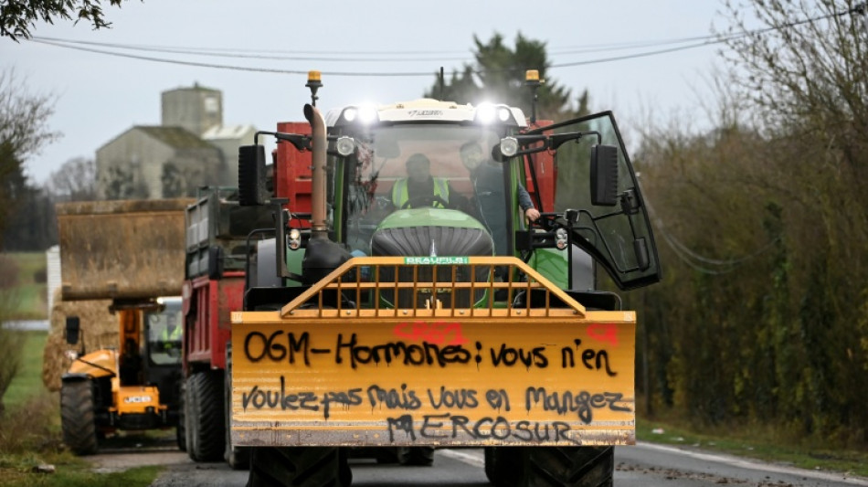 Francia suspende las importaciones agr&iacute;colas sudamericanas tratadas con sustancias prohibidas en la UE