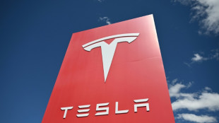 Les ventes de Tesla divis&eacute;es par deux en Europe