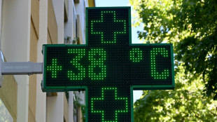 2022 est d&eacute;j&agrave; l'ann&eacute;e la plus chaude jamais mesur&eacute;e en France