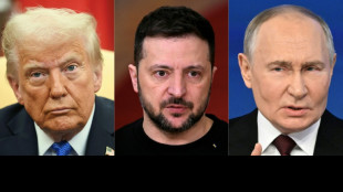 Desinforma&ccedil;&atilde;o pr&oacute;-R&uacute;ssia 'infecta' chatbots de IA, alertam especialistas