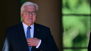 Steinmeier startet bundesweite Aktion f&uuml;r das Ehrenamt