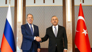 La Turquie juge "l&eacute;gitime" de lever les sanctions sur les exportations agricoles russes