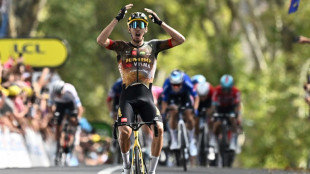 Tour de France: premier succ&egrave;s fran&ccedil;ais gr&acirc;ce &agrave; Laporte dans la 19e &eacute;tape