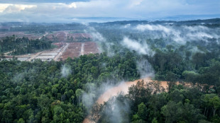 Norway sovereign wealth fund drops French miner over environmental fears