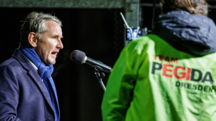 Th&uuml;ringer Landtag macht Weg f&uuml;r Anklage gegen AfD-Politiker H&ouml;cke frei