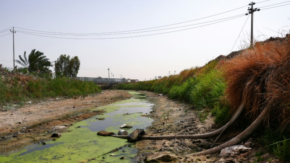 Irak: les r&eacute;serves d'eau au plus bas depuis 80 ans, selon le gouvernement